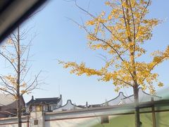 -龙华寺