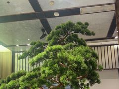 -聆桂烤鸭·金奖烤鸭(静联广场店)