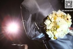 -上海浦东喜来登由由大酒店·宴会厅