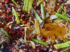 -老板恋上鱼(恒隆广场店)