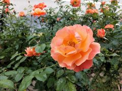 -杨高南路(地铁站)