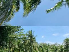 -三亚亚龙湾红树林度假酒店