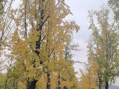 -两江幸福广场