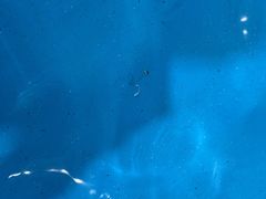 -北京科技大学-游泳馆