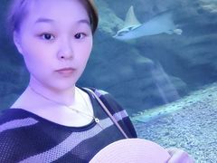 -江和美海洋公园