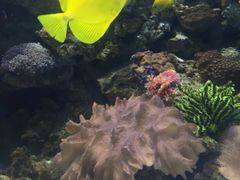 -多彩贵州城极地海洋世界