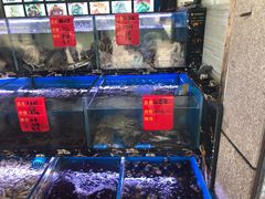 水产区-金海湾海鲜排档(朱家尖店)