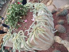 -南通洲际绿博园