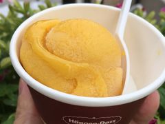 芒果冰淇淋-哈根达斯(皇庭店)