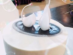 -BLACKSWAN黑天鹅(环球店)