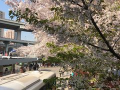 -上海南浦大桥长途旅游客运站