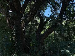 -南北湖风景区
