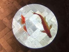 -鼎盛蜀坊·重庆江湖菜(市桥地铁站店)