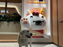 -海底捞火锅(凤凰广场店)