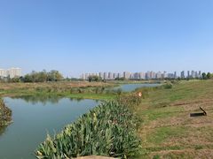 -洋湖国家湿地公园