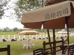 -瑞穗牧场