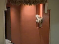 -九间泰·泰式古法按摩SPA(环贸iapm店)