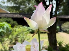 -楠溪江风景名胜区