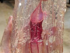 -榴莲BB 四季果园