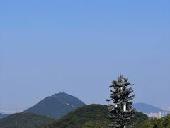 -杭州半山国家森林公园