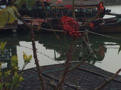 -观桥阁(锦溪店)