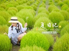 -映月湖中央公园