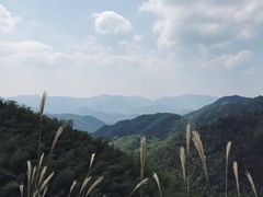 -永州阳明山国家森林公园