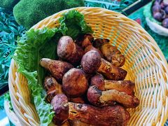 -天宜隆蘑菇宴火锅(石景山旗舰店)