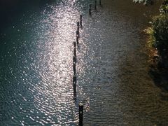 -鼎湖山风景区