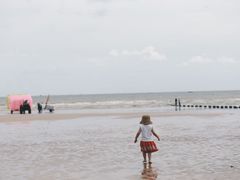 -日照海滨国家森林公园