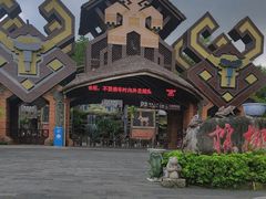 -海南槟榔谷黎苗文化旅游区