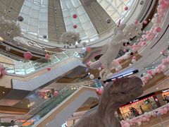 -万达广场(菏泽牡丹店)