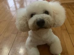 -艾贝尔宠物医院·24H转诊中心·肿瘤猫专科(江宁双龙店)