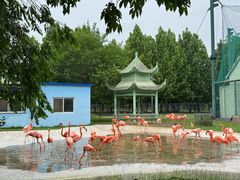 -秦皇岛野生动物园
