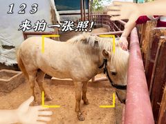 -盈香心动乐园