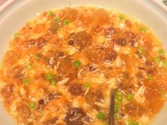 蟹粉芽米烩桃胶-新光酒家·河豚·海鲜·蟹料理(浦东店)