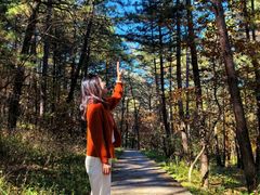 -帽儿山国家森林公园