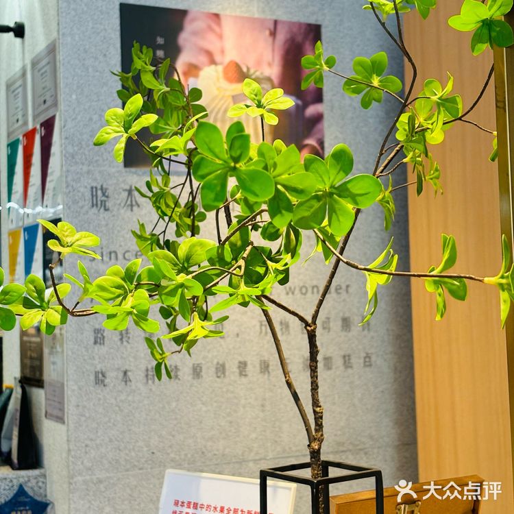 一块蛋糕的时间，足够让心情放晴了