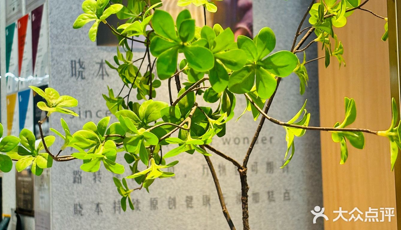 一块蛋糕的时间，足够让心情放晴了