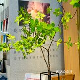 一块蛋糕的时间，足够让心情放晴了