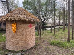 -溱湖国家湿地公园