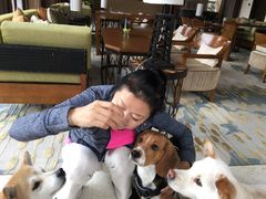 -上海崇明金茂凯悦酒店