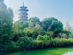 -洋湖国家湿地公园