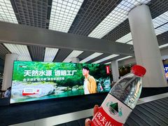 -青岛胶东国际机场
