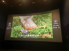 -SFC上影百联影城(川沙IMAX店)