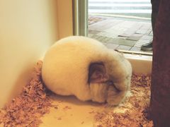 -龙猫仔乐园(惠福东路店)