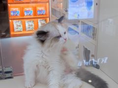-万达广场(南宁青秀店)
