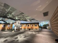 -大视光学•LINDBERG林德伯格•全球手工眼镜集合店(王府井店)