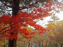 -崂山巨峰游览区
