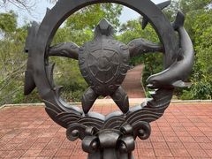 -广东惠东海龟国家级自然保护区
